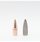 Preview: 22 Cal .224 55 gr FMJ-BT